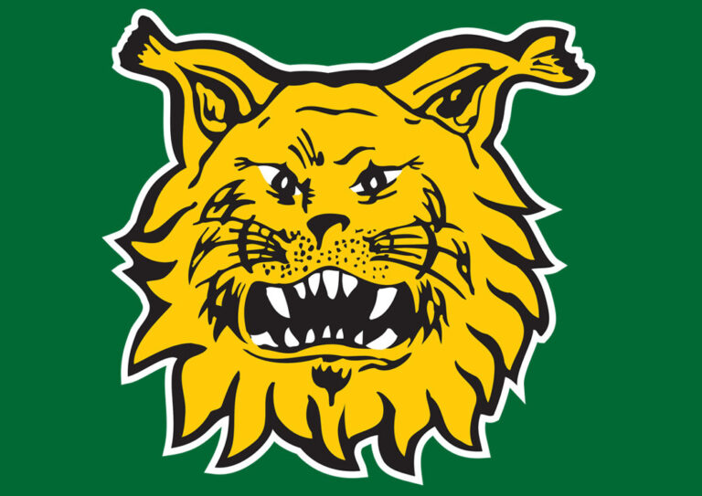 Ilves – Kiakkoradio